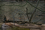 Wire House